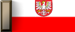 12529 12529