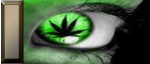 thc