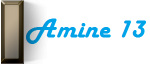 Amine 13 Amine 13