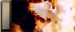 Red White Bird :D
