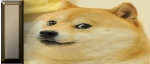 22338