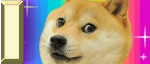 Much Tag!! Such WoW!!! Much Tag!! Such WoW!!!