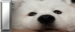 25751
