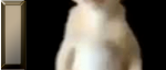 26273 26273