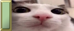 27149 27149
