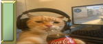 UwU UwU