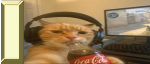 28183 28183
