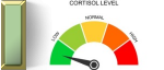Low Cortisol Low Cortisol