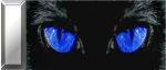 I see you